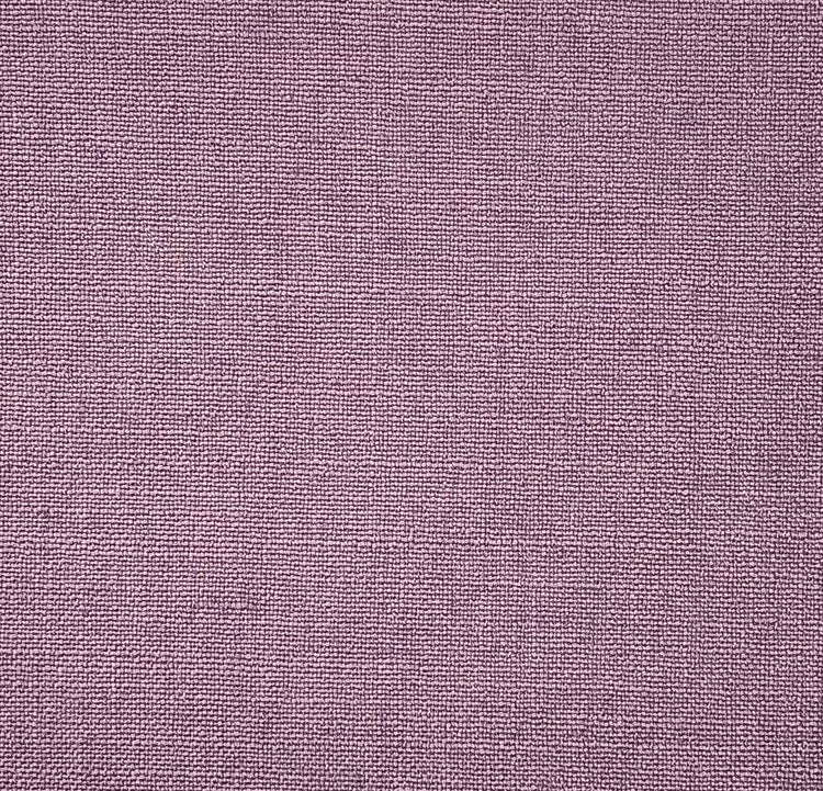 Linum 27 Crocus