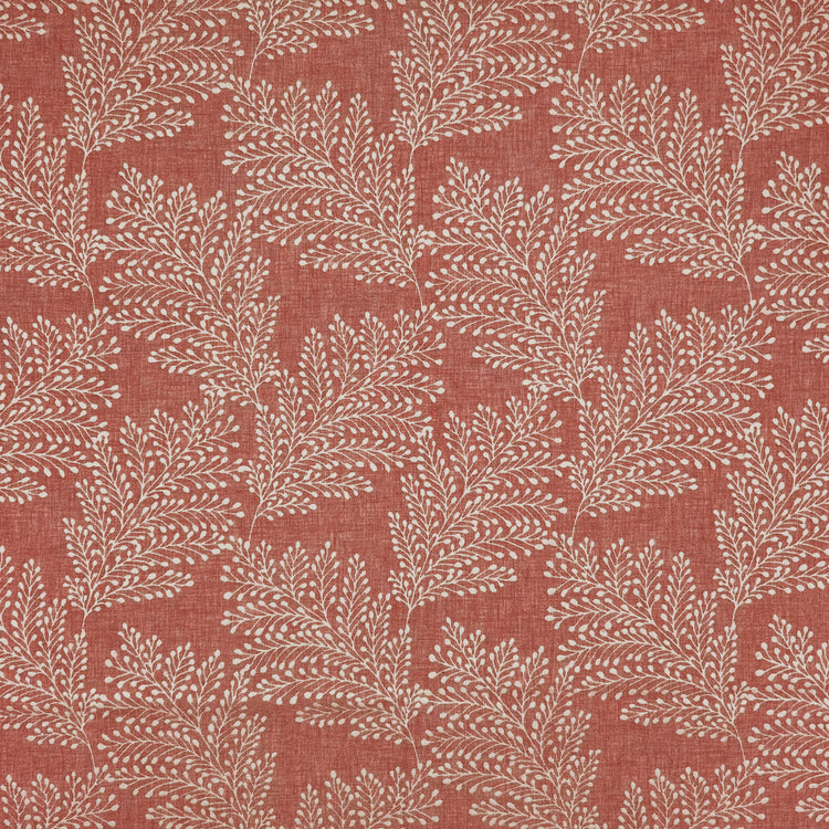 Kensington Clay
