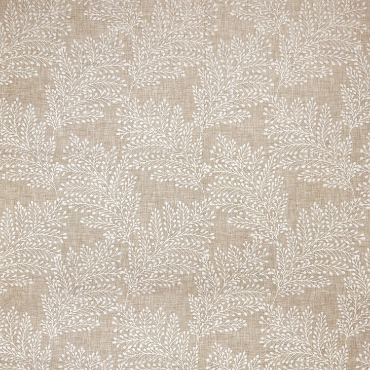 Kensington Oatmeal