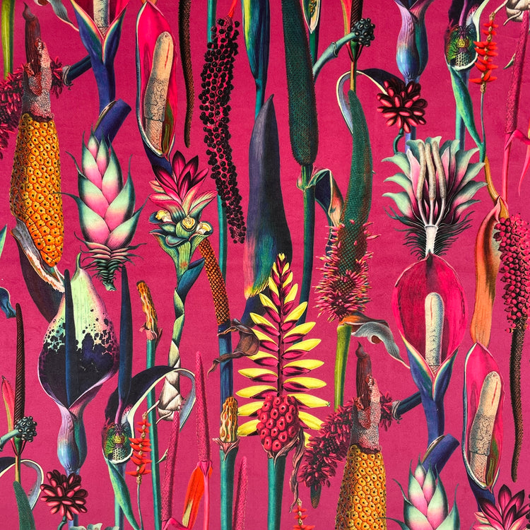 Borneo Hot Pink