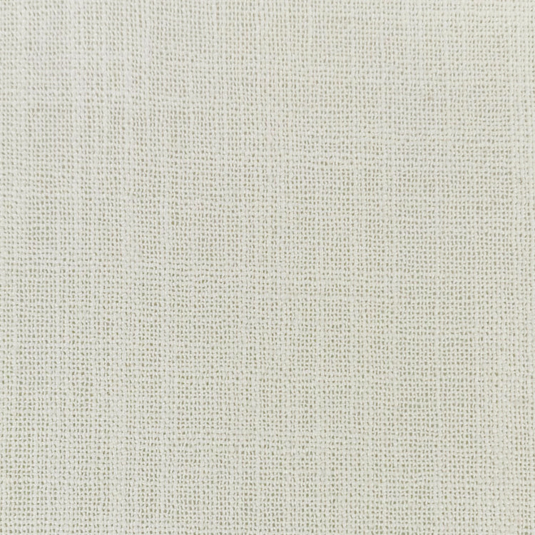 Dune Parchment