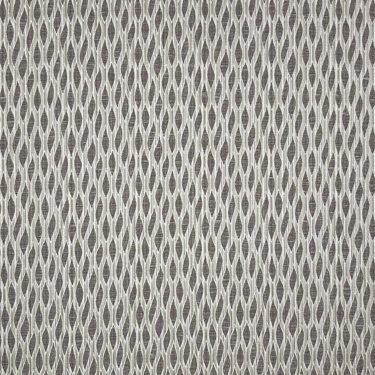 Fuji Silver