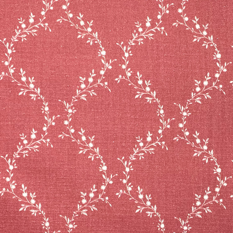 Jasmina Raspberry