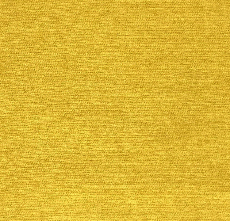 Tomlin Mustard 24