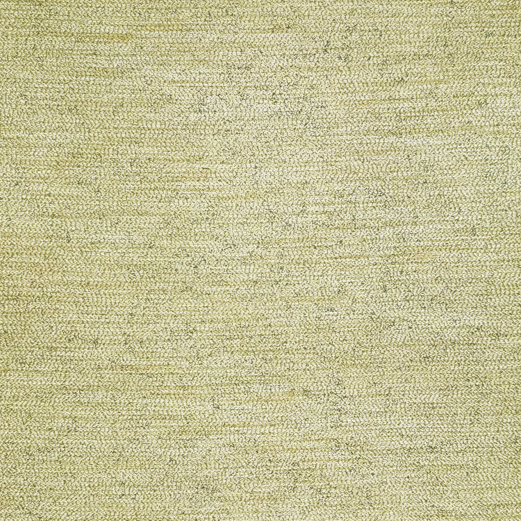 Rembrandt Infinity