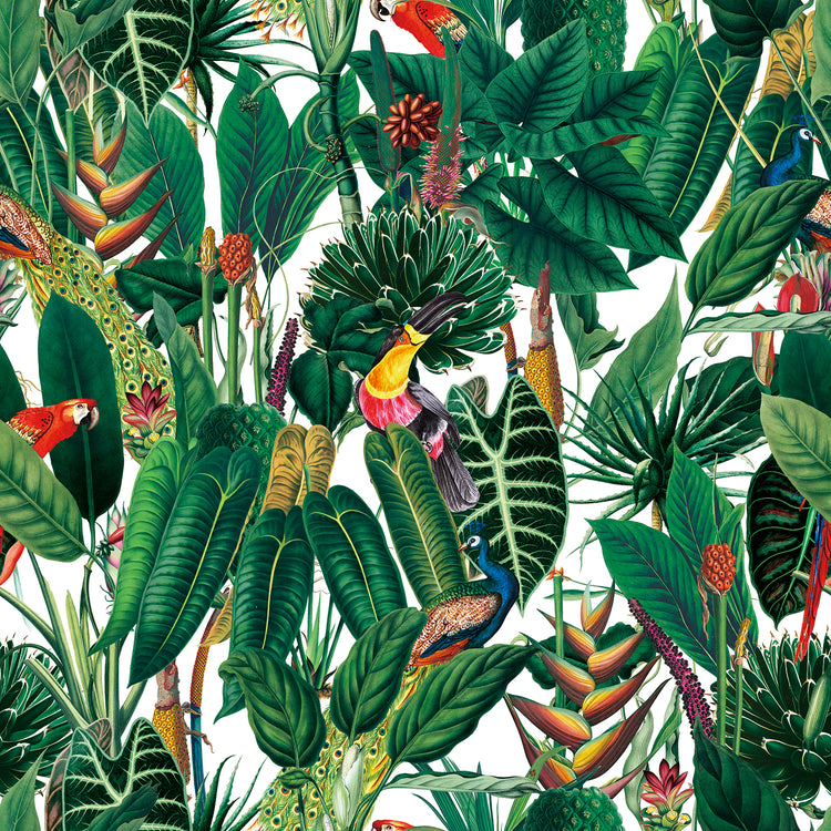 Sumatra Natural