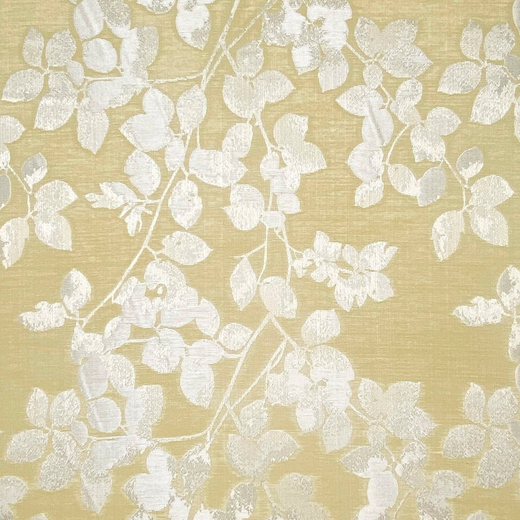 Cameron Ochre
