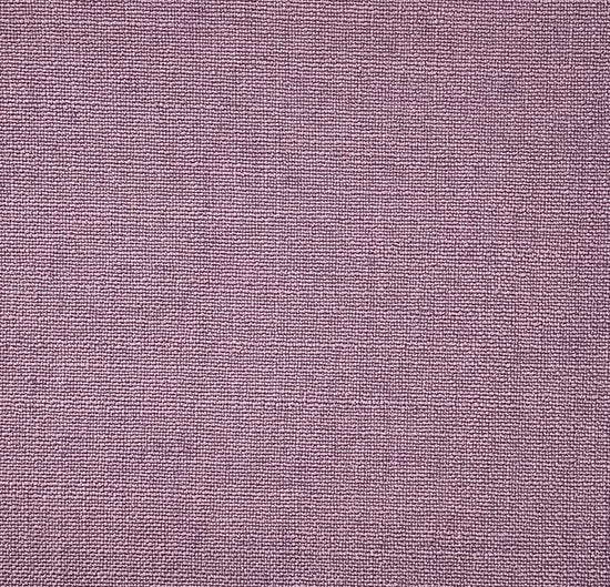Linum 27 Crocus