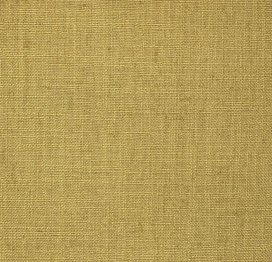 Linum 31 Mustard