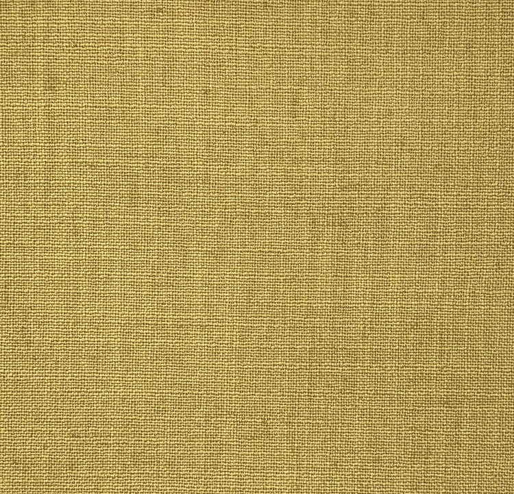 Linum 31 Mustard