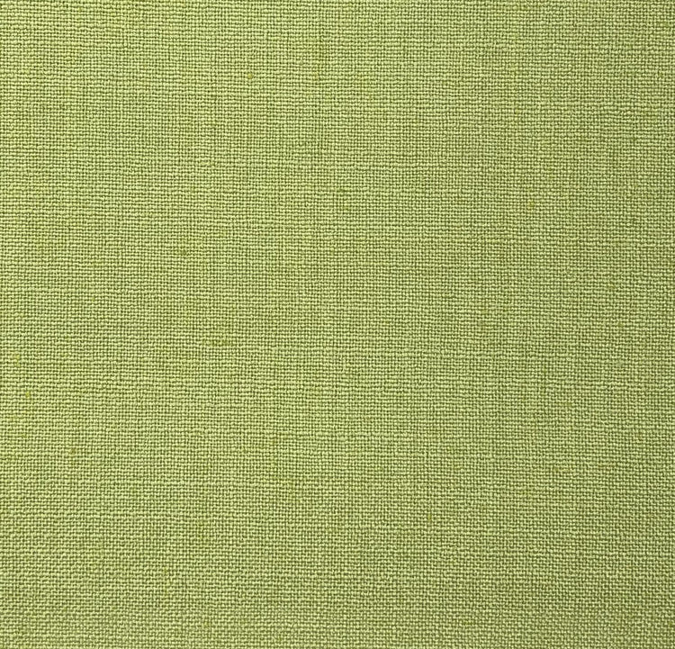 Linum 33 Fern