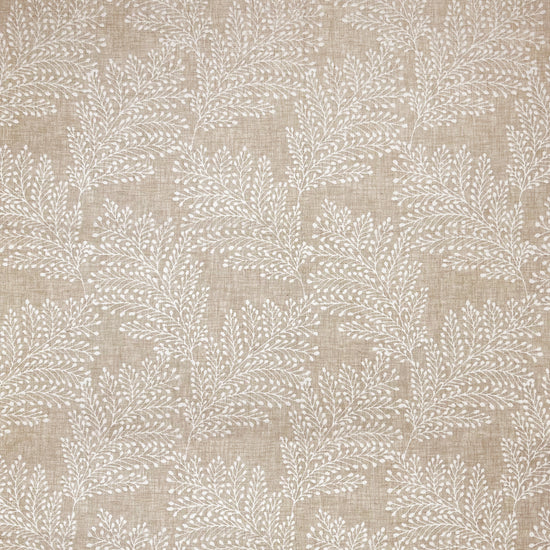 Kensington Oatmeal