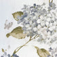 Belvoir Dove
