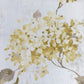 Belvoir Ochre