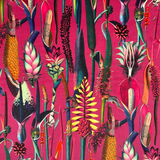 Borneo Hot Pink