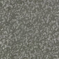 Cassia Charcoal