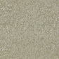 Cassia Dove