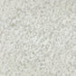 Cassia Snow