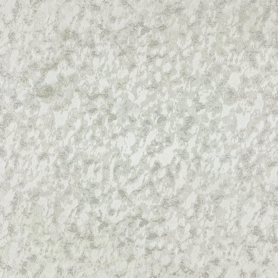 Cassia Snow
