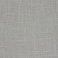 Chalk Dove