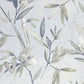 Colvelly Dove