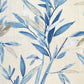 Colvelly Wedgewood