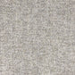 Merino Dove
