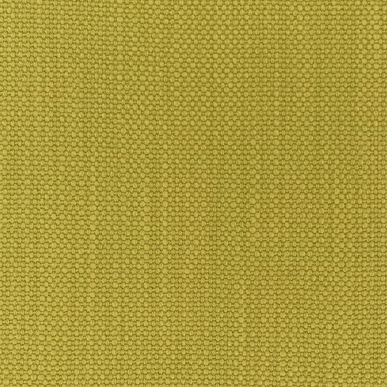 Pimlico Dried Moss
