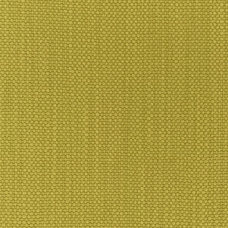 Pimlico Dried Moss