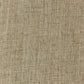 Dune Oat