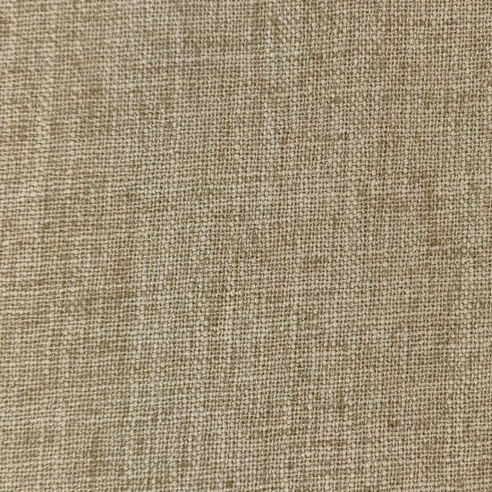 Dune Oat