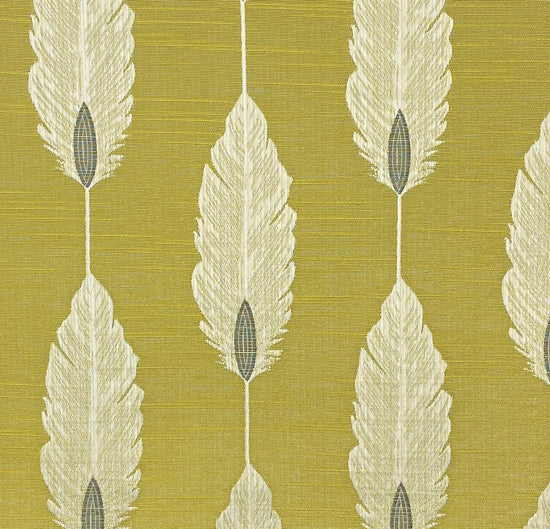 Feather Ochre