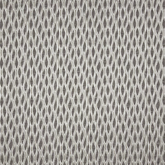 Fuji Silver