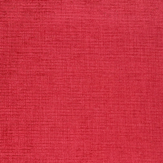 Monument Fuchsia