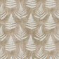 Fern Dandelion