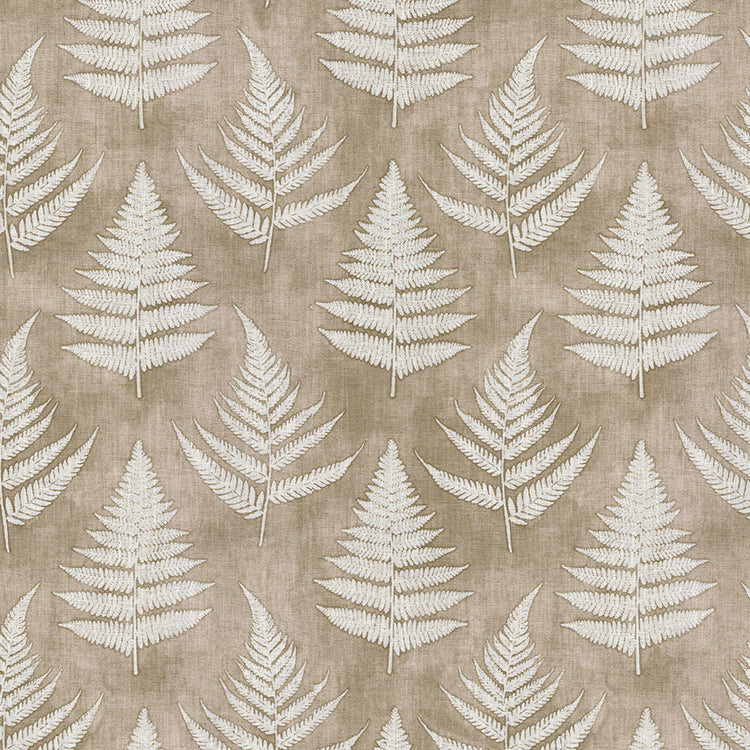 Fern Dandelion