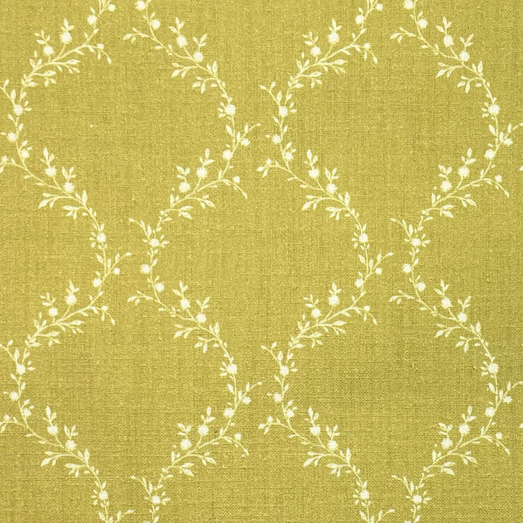 Jasmina Ochre