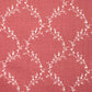 Jasmina Raspberry