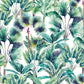 Kinabalu Natural