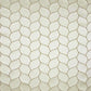 Kyoto Shell
