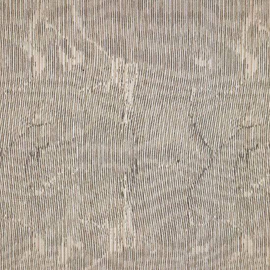 Matisse Antarctica