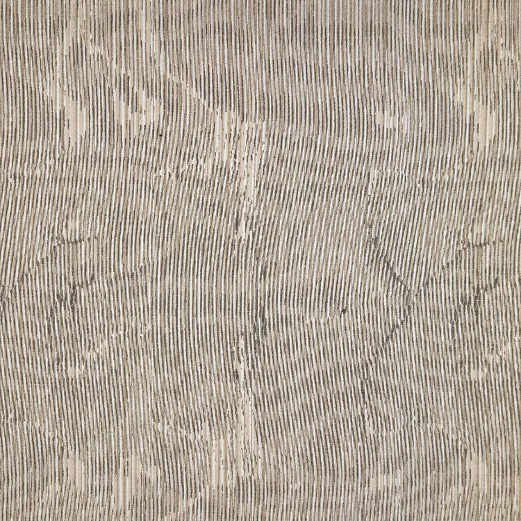 Matisse Antarctica
