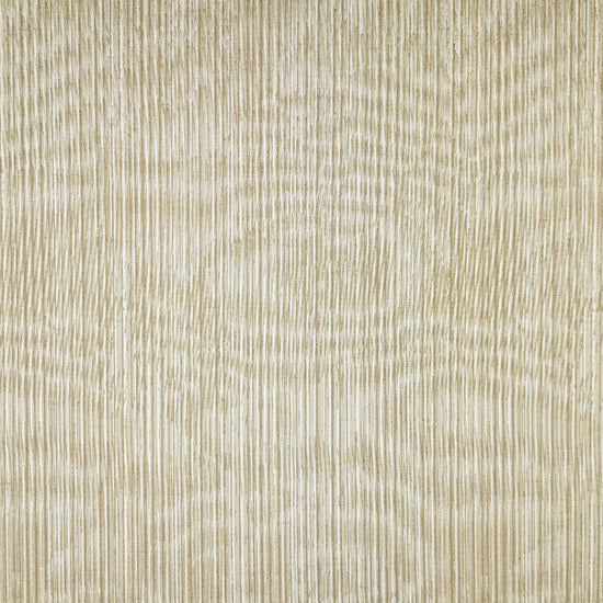 Matisse Parchment
