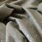 Modena Lichen