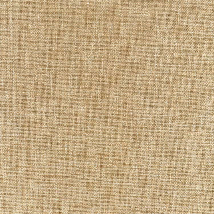 Oasis Parchment