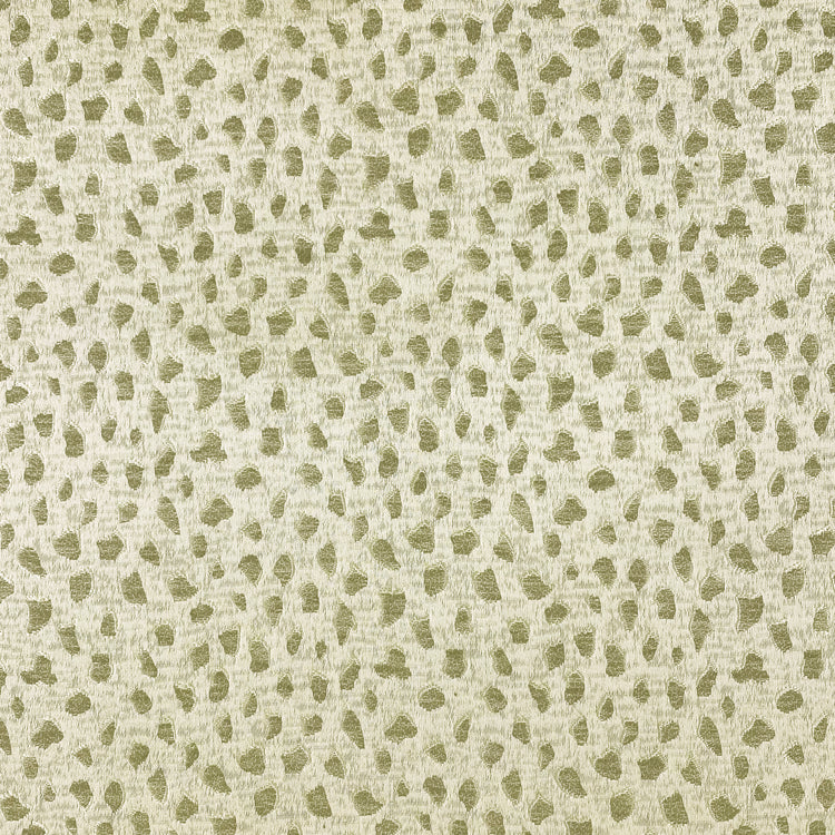 Panthera Chalk