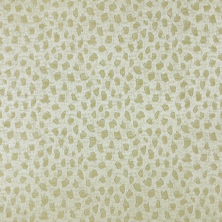 Panthera Ivory