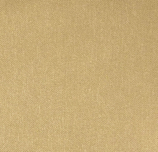 Glinara Porcini