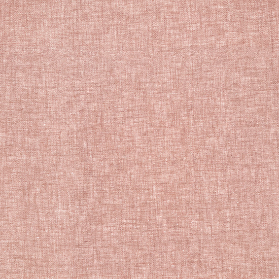 Toulon Rose