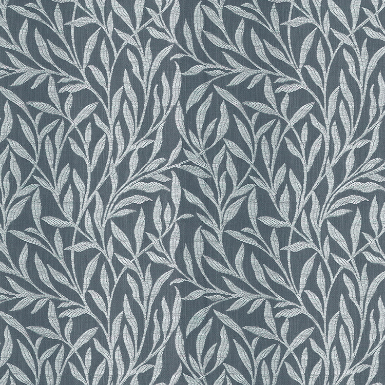 Passiflora Infinity